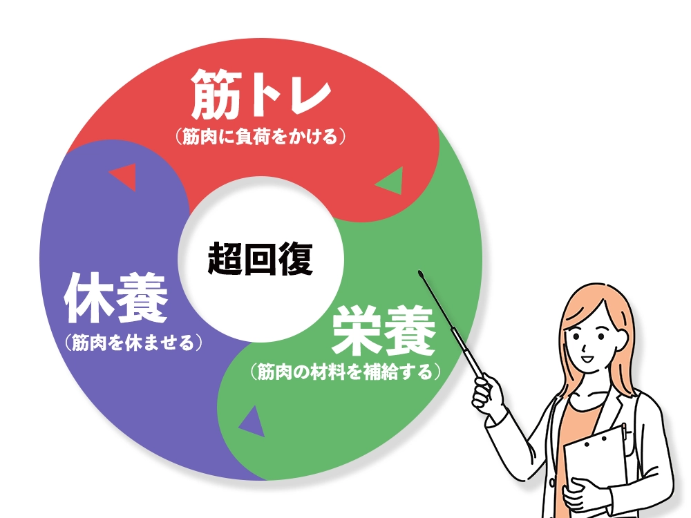 「筋肉が超回復するまでのサイクル」の画像