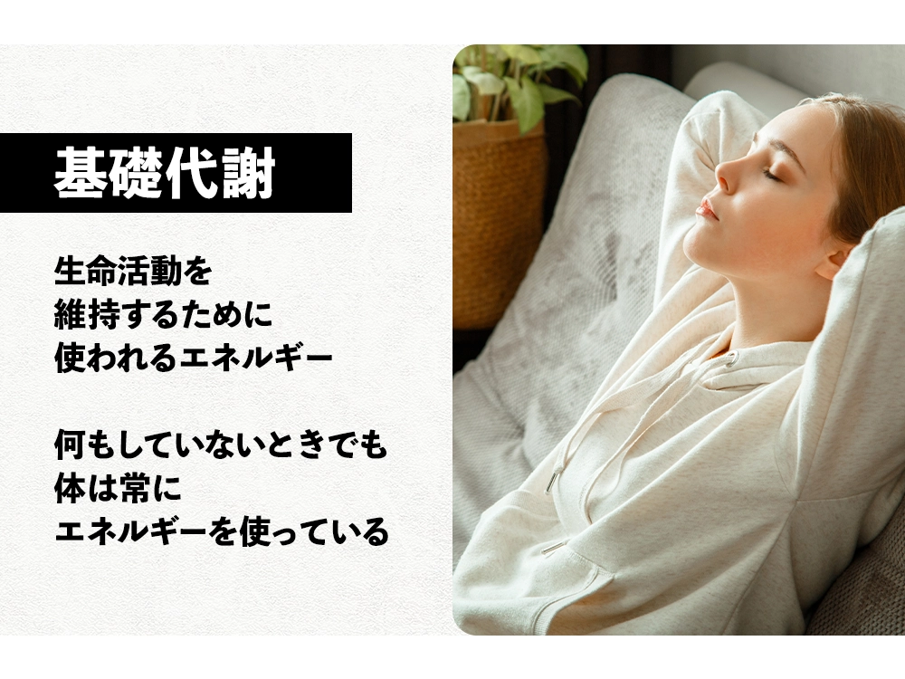 「そもそも「代謝」って何？」の画像