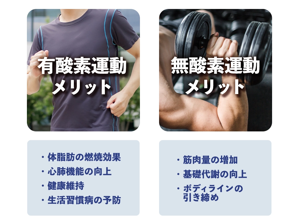 「有酸素運動と無酸素運動のメリットと効果」の画像