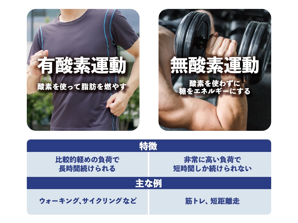 「そもそも有酸素運動と無酸素運動って何？」の画像