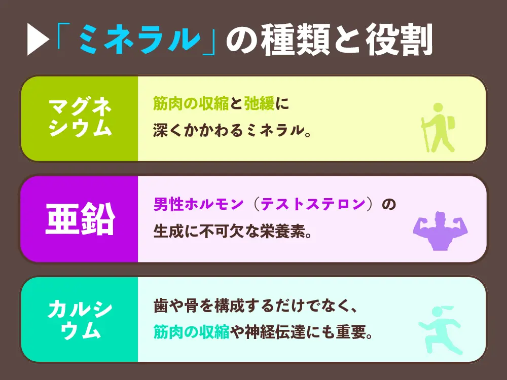 「筋トレ効果を高める「ミネラル」の種類と役割」の画像