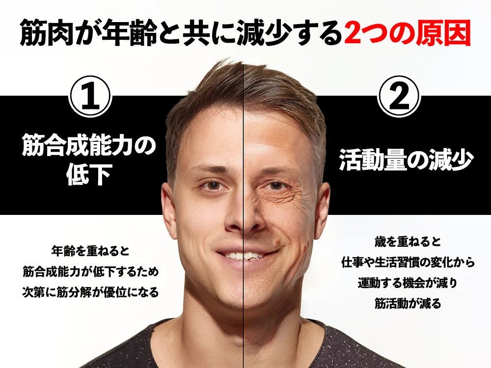 「筋肉が年齢と共に減少する2つの原因」の画像