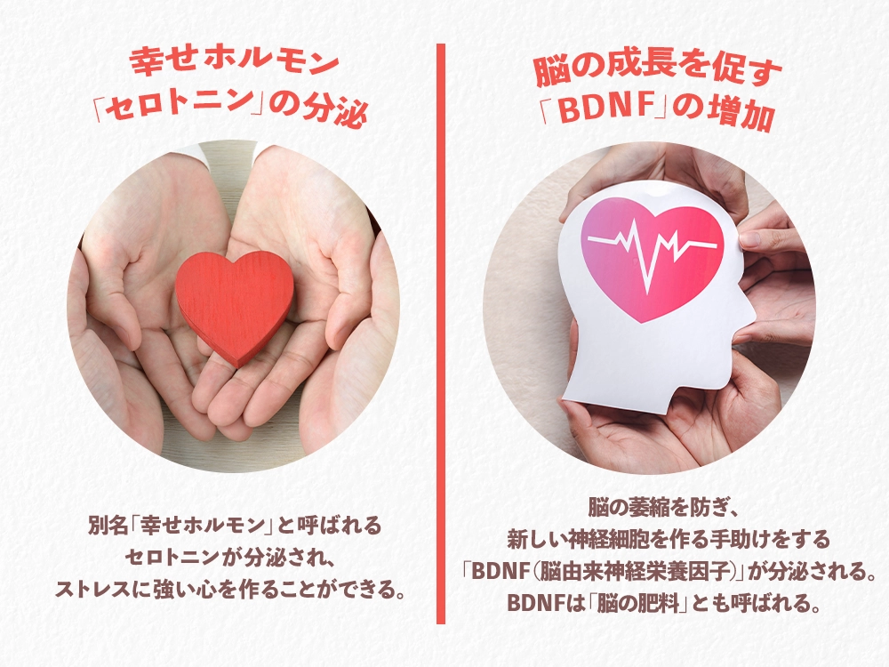 「筋トレがメンタルに効く2つの科学的理由」の画像