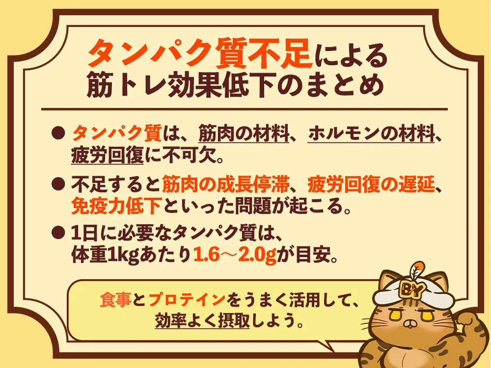 「タンパク質不足による筋トレ効果低下のまとめ」の画像