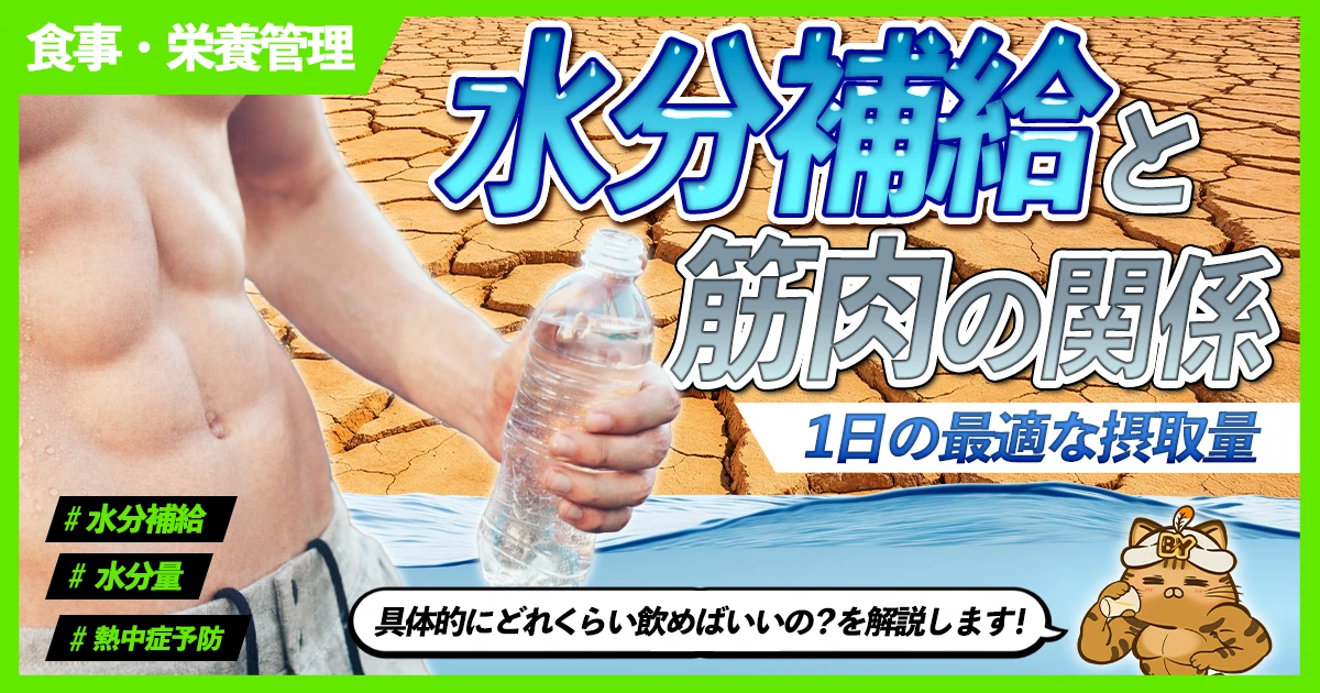 「水分補給と筋肉の関係｜1日の最適な摂取量」のサムネイル画像