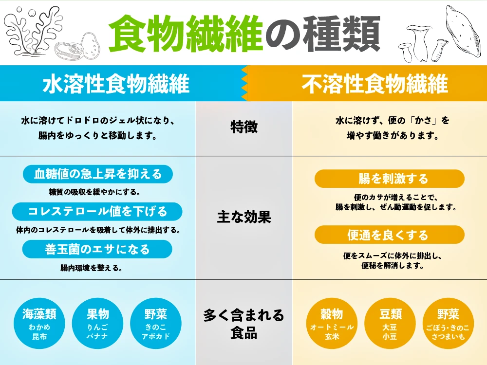 「食物繊維には2つの種類がある」の画像
